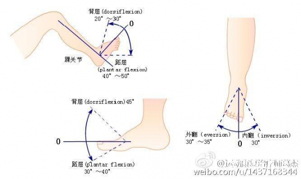 各关节活动度的参考值