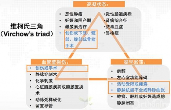 德国科学家virchow提出了"血栓形成三要素"-维柯氏三角,即静脉循环瘀