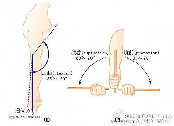 旋前:就是旋转小臂让手心向下,大概80